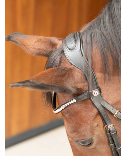 HARRY'S HORSE - Bridon Rosegold Lacque II