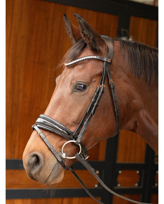 HARRY'S HORSE - Bridon Rosegold Lacque II