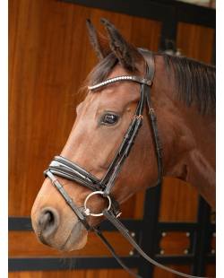 HARRY'S HORSE - Bridon Rosegold Lacque II