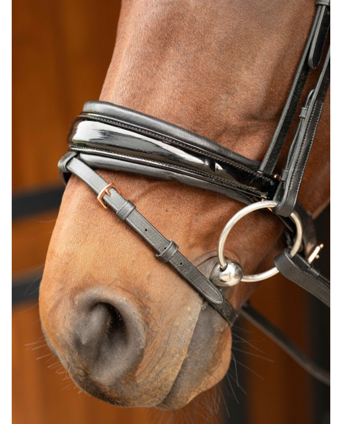 HARRY'S HORSE - Bridon Rosegold Lacque II