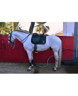 Selle de Dressage ZALDI DRIM
