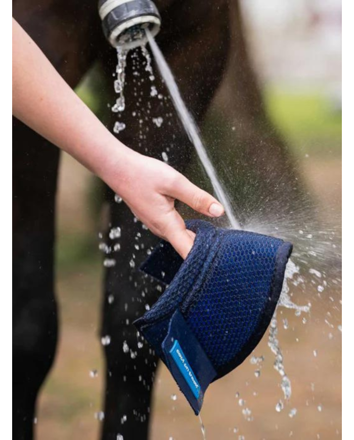 BACK ON TRACK - Cloches rafraîchissantes