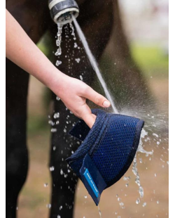 BACK ON TRACK - Cloches rafraîchissantes