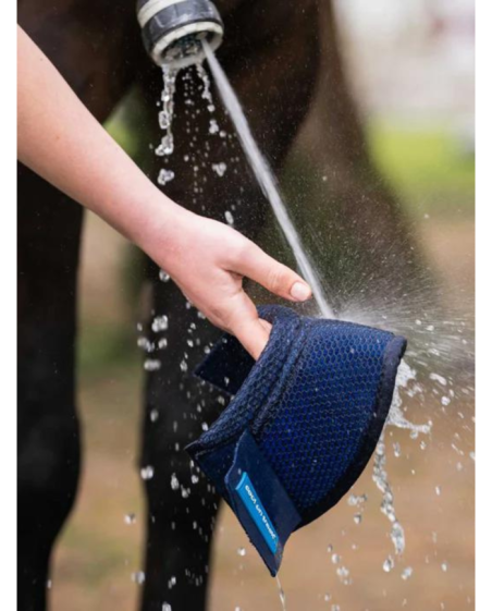 BACK ON TRACK - Cloches rafraîchissantes