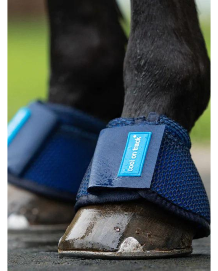 BACK ON TRACK - Cloches rafraîchissantes