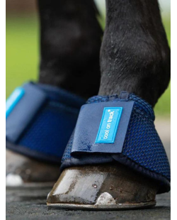 BACK ON TRACK - Cloches rafraîchissantes