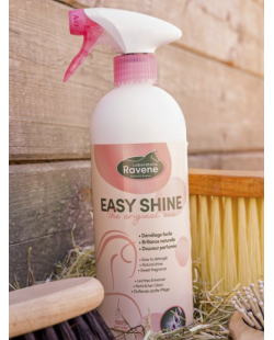 RAVENE - Démêlant Easy Shine