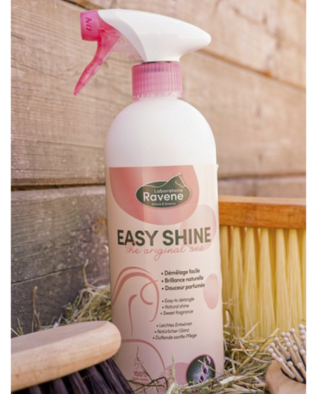 RAVENE - Démêlant Easy Shine
