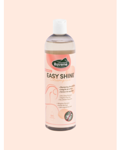 Shampoing RAVENE Easy shine
