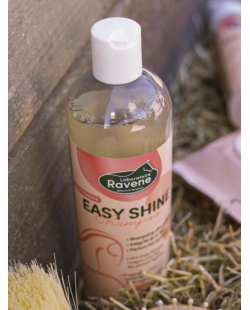 Shampoing RAVENE Easy shine