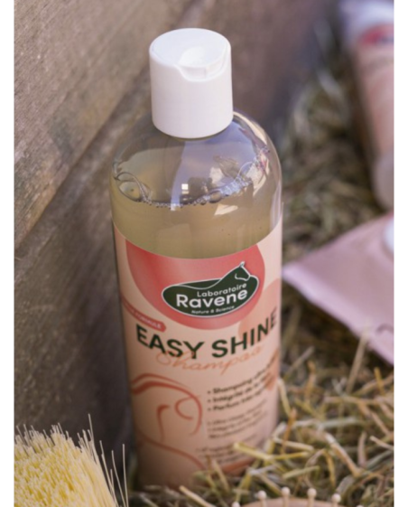 Shampoing RAVENE Easy shine