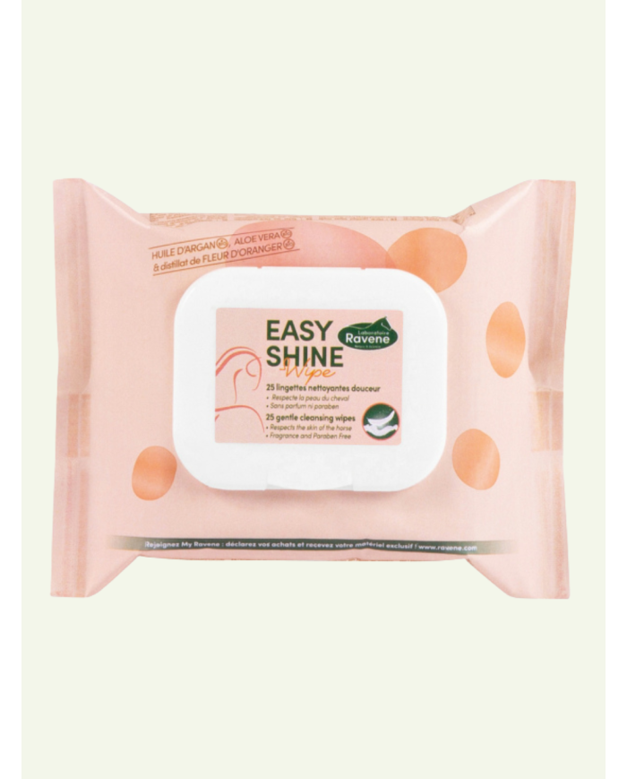 EASY SHINE lingettes nettoyantes RAVENE