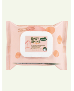 EASY SHINE lingettes nettoyantes RAVENE