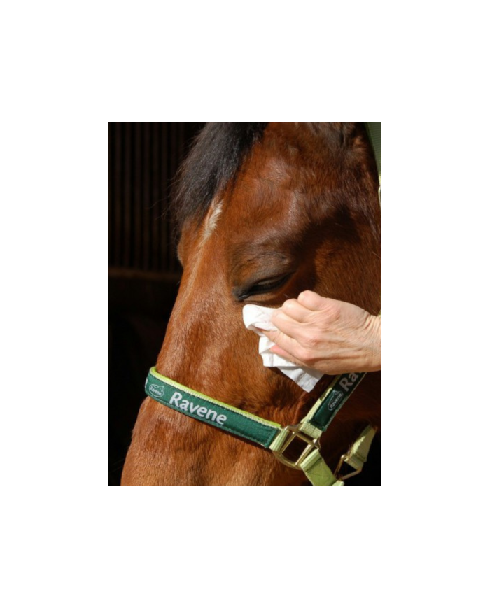 EASY SHINE lingettes nettoyantes RAVENE