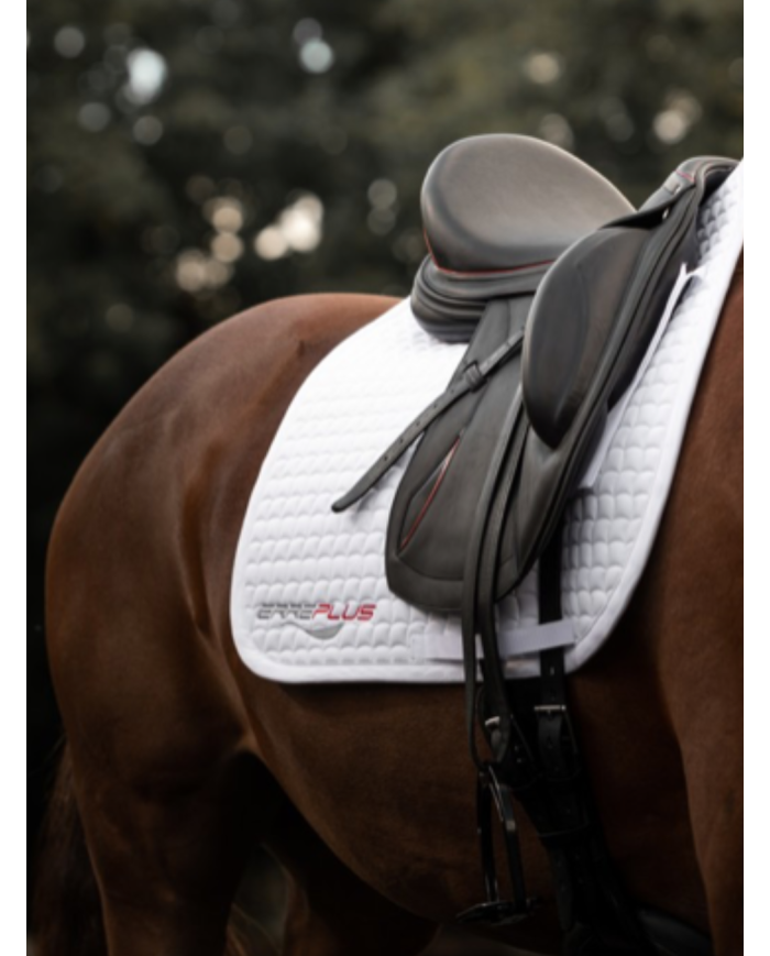 ERREPLUS - Tapis de selle dressage