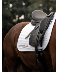 ERREPLUS - Tapis de selle dressage
