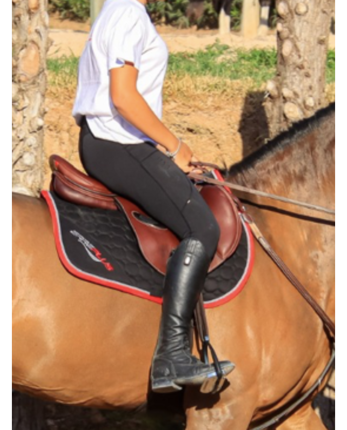 Tapis de la marque ERREPLUS, coupe CSO.