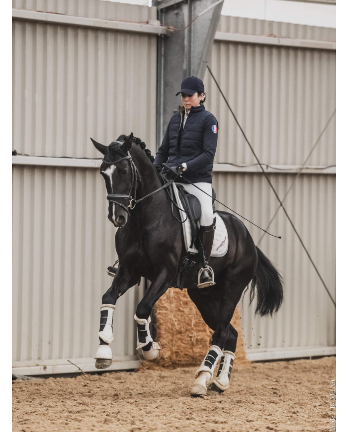 ERREPLUS - Tapis de selle dressage