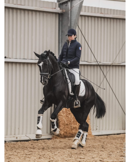 ERREPLUS - SELLE DE DRESSAGE VITTORIA