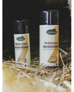 RAVENE - Pedicade soin fourchette