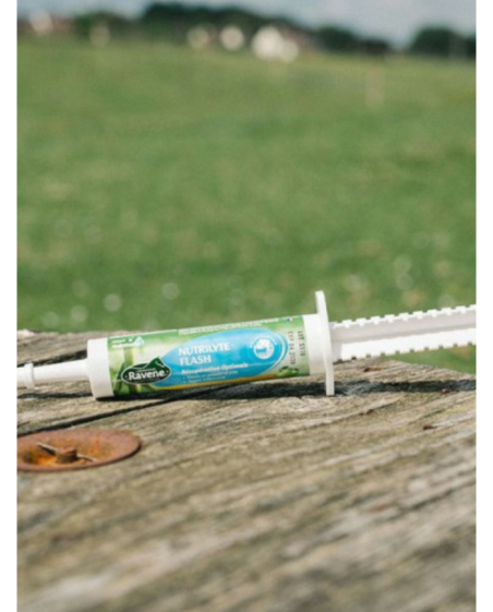 RAVENE - Seringue nutrilyte flash