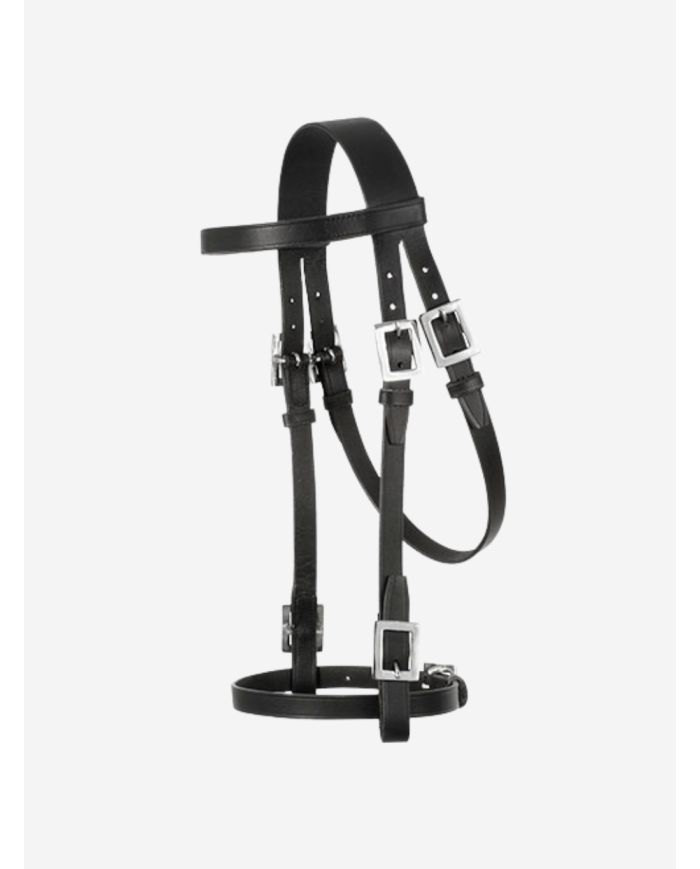 Bridon portugais ECO, grand boucles rectangles doré ou argenté