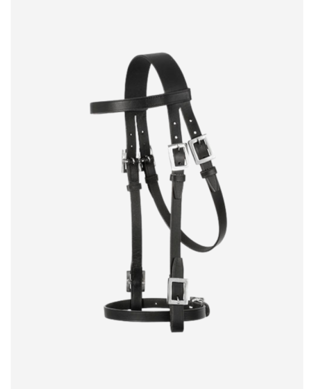 Bridon portugais - Toreira ECO