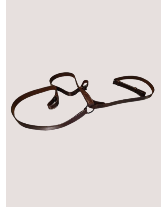 Collier de Chasse modèle RIOS