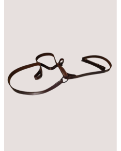 Collier de Chasse modèle RIOS