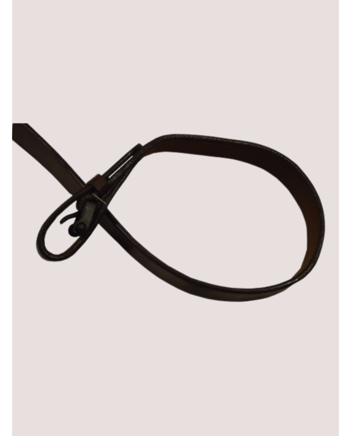 Collier de Chasse modèle RIOS