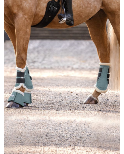 WALDHAUSEN - Cloches de dressage confort