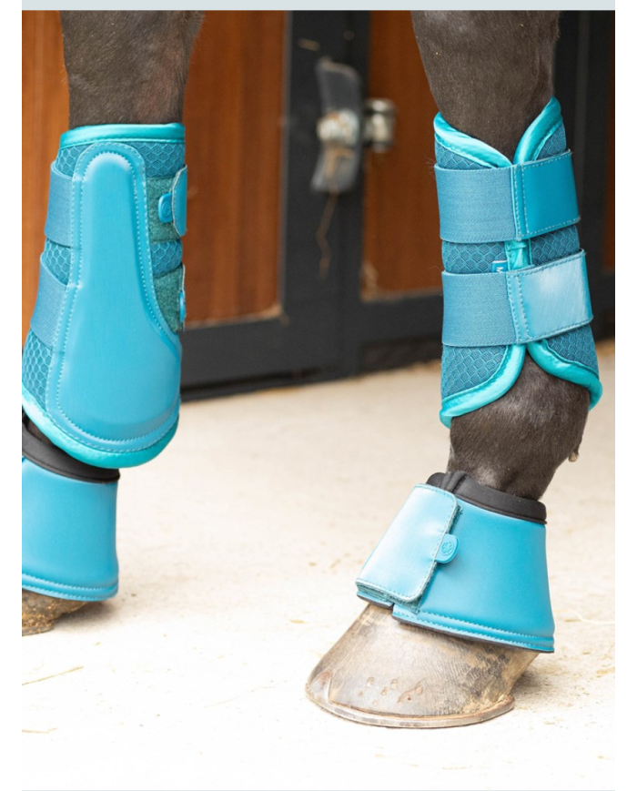 HARRY'S HORSE - Clôches bambooboots