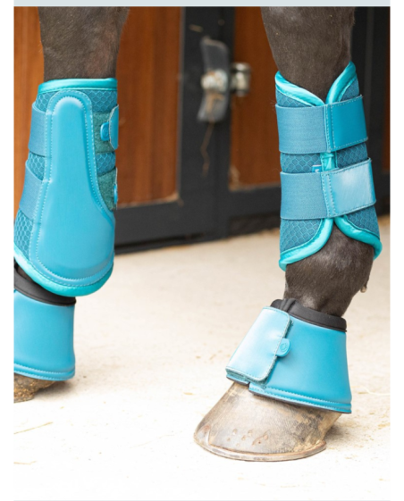HARRY'S HORSE - Clôches bambooboots