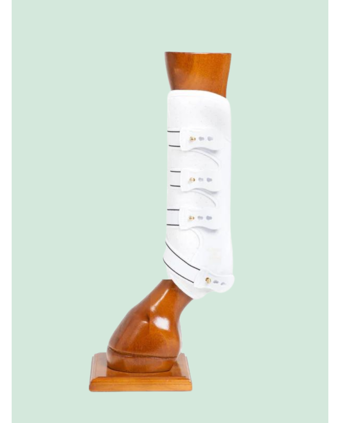 Guêtres antérieurs Back on Track modèle Royal