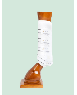 Guêtres antérieurs Back on Track modèle Royal