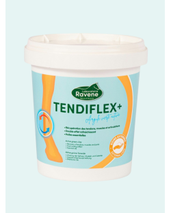 ARGILE RAVENE "TENDIFLEX +"