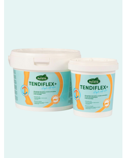 RAVENE - Argile Tendiflex +