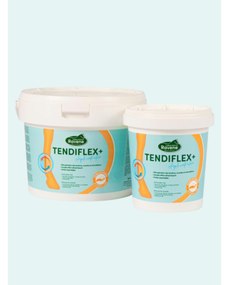 ARGILE RAVENE "TENDIFLEX +"