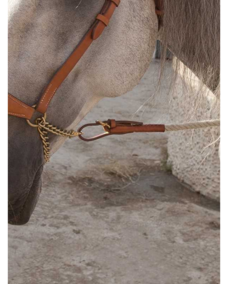 MARJOMAN - Licol de présentation CANAMO