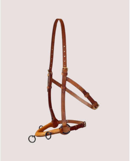 Caveçon espagnol marjoman 3 anneaux boucles classiques