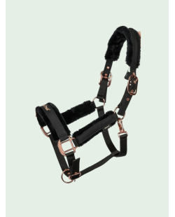 Back On Track - Licol "HAZE COLLECTION"