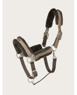 Back On Track - Licol "HAZE COLLECTION"