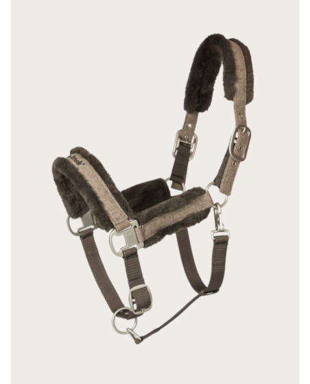 Back On Track - Licol "HAZE COLLECTION"