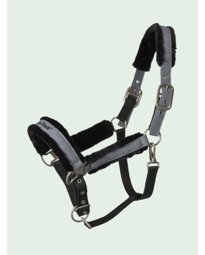 Back On Track - Licol "HAZE COLLECTION"