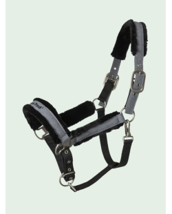 Back On Track - Licol "HAZE COLLECTION"