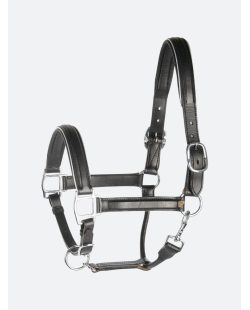 Licol en cuir doublé or ou argent