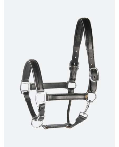 Licol en cuir doublé or ou argent