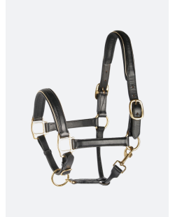 Licol en cuir doublé or ou argent