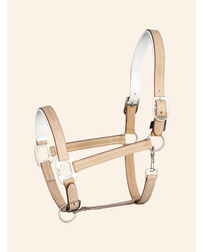 Licol en cuir Cremello