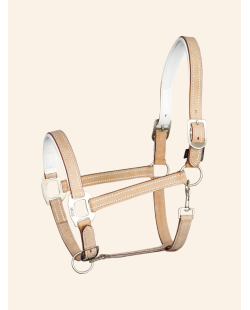 Licol en cuir Cremello